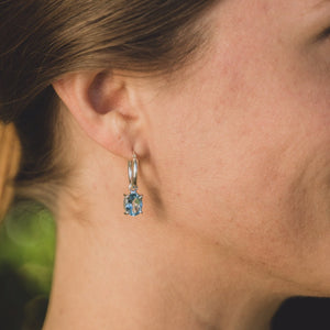 
                  
                    Topaz Earrings  
                  
                